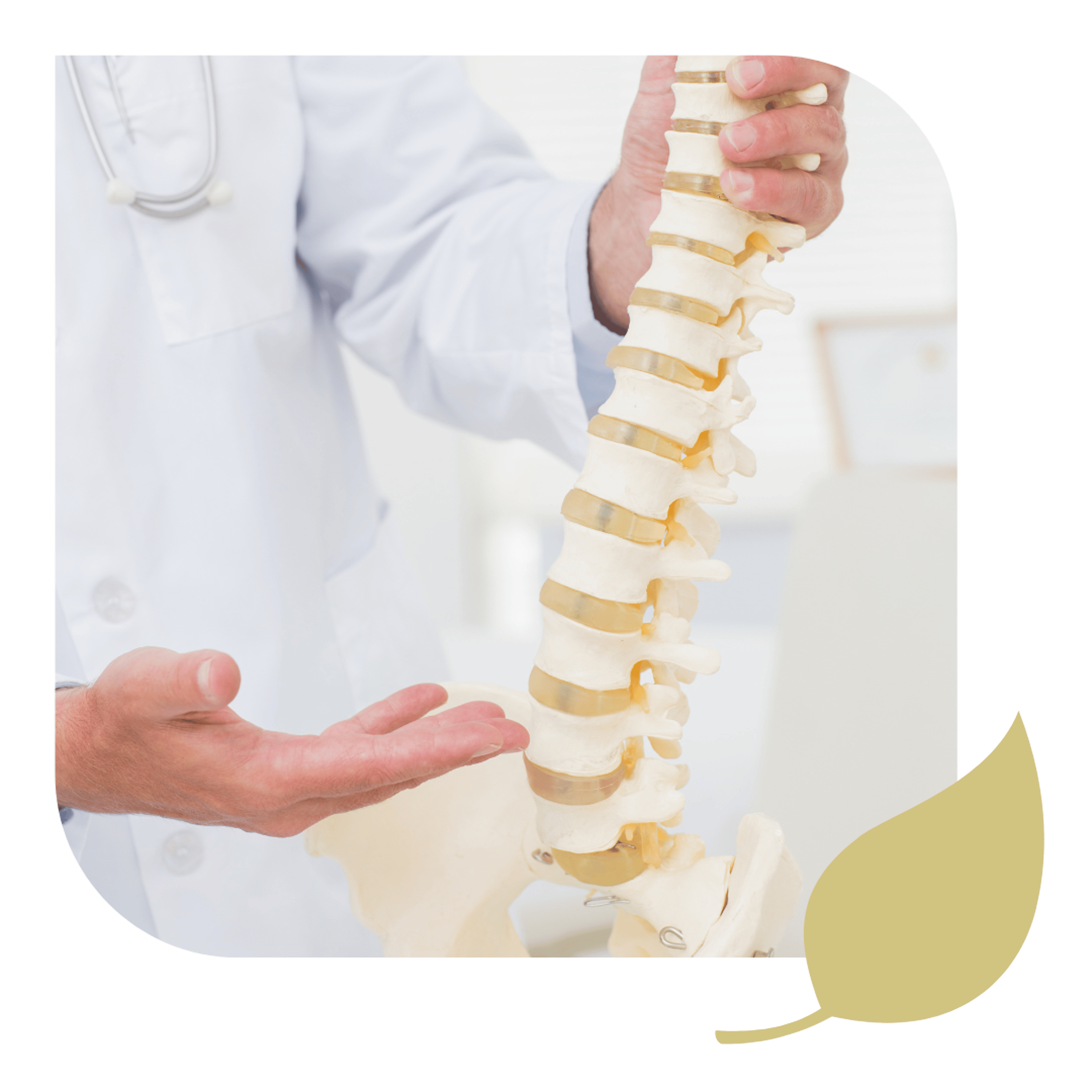 A chiropractor explains how we help your spinal health with Chiropractic Treatment.